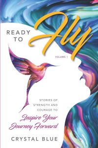 Ready to Fly Book Now Available